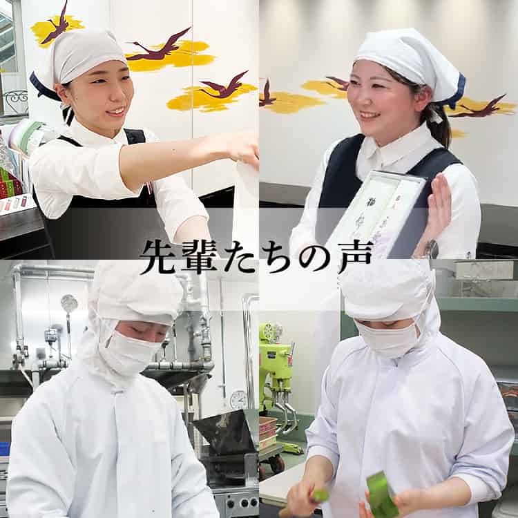 先輩たちの声