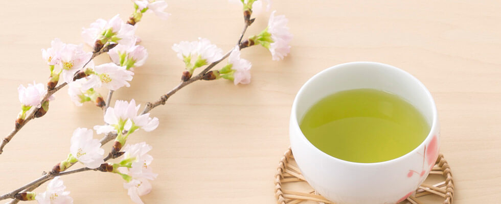 緑茶の写真